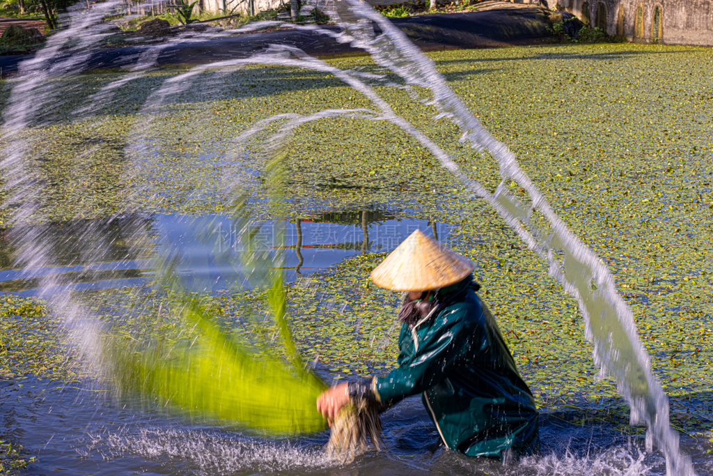 農村樂