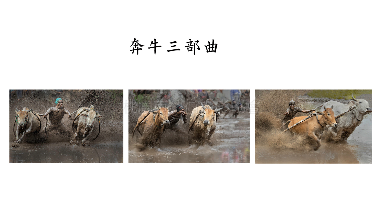 奔牛三部曲（連作）