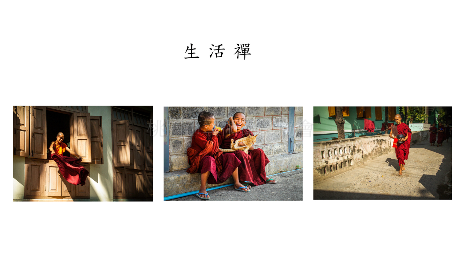 生活禪（組合）