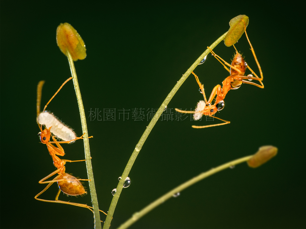 分工合作