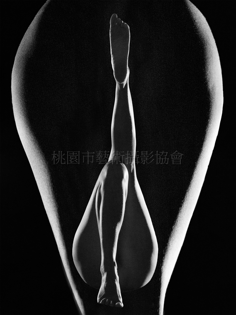 線條之美