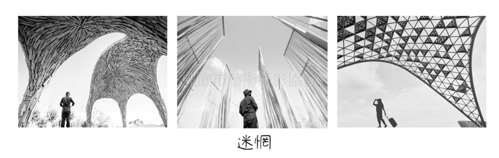 迷惘(組照)