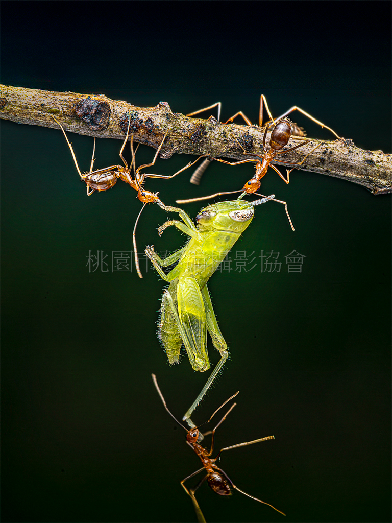 命懸一線