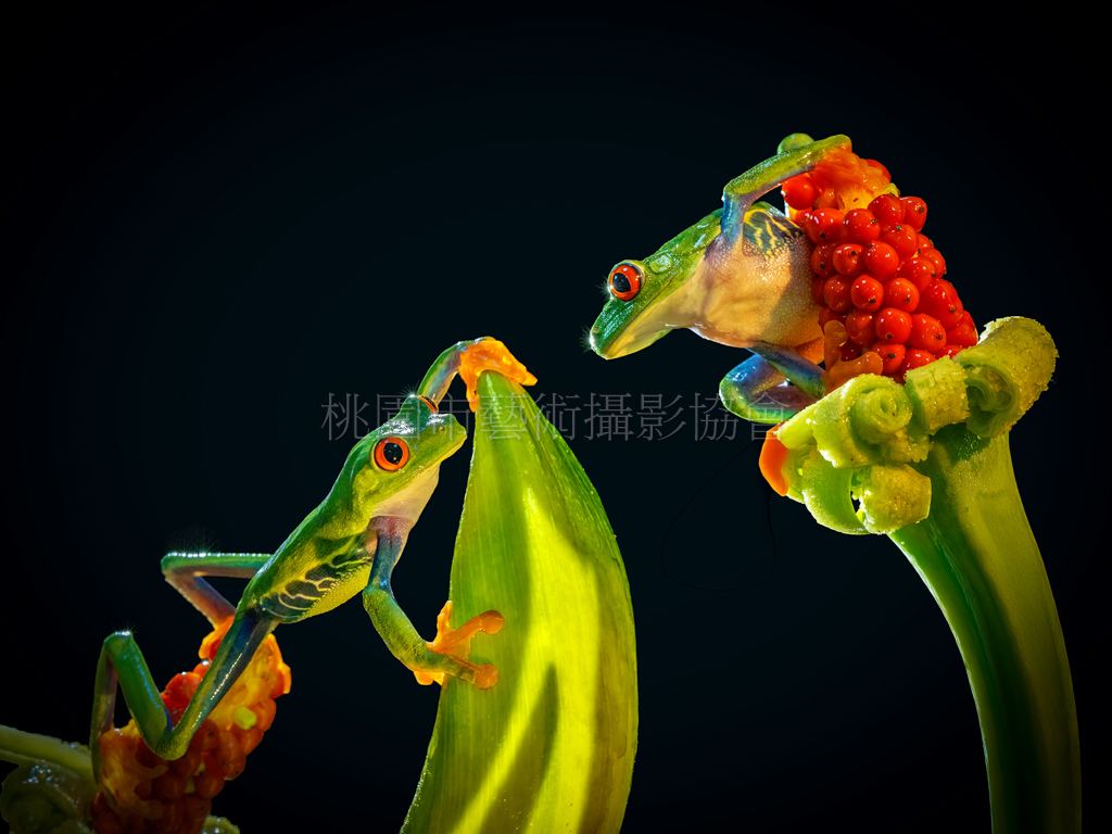 微光下的相逢