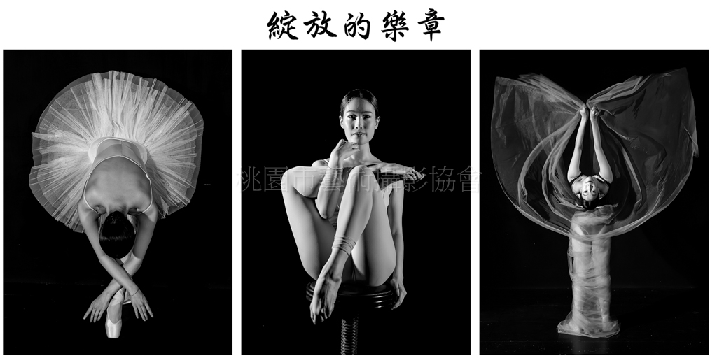 綻放的樂章(組照)