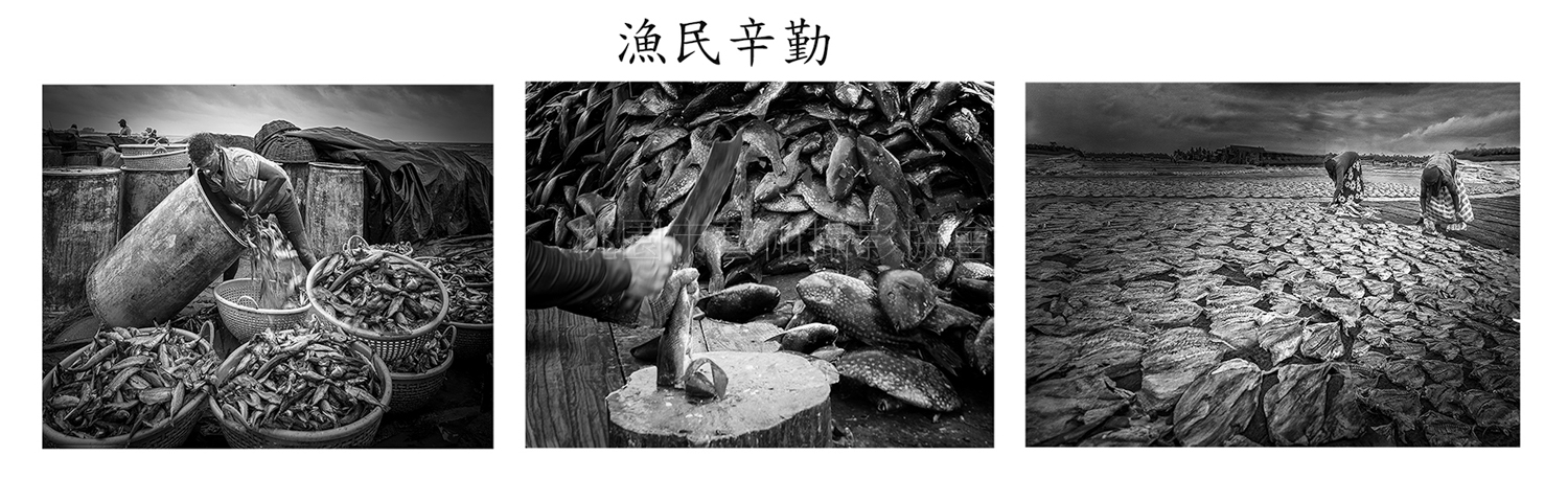 漁民辛勤(組照)