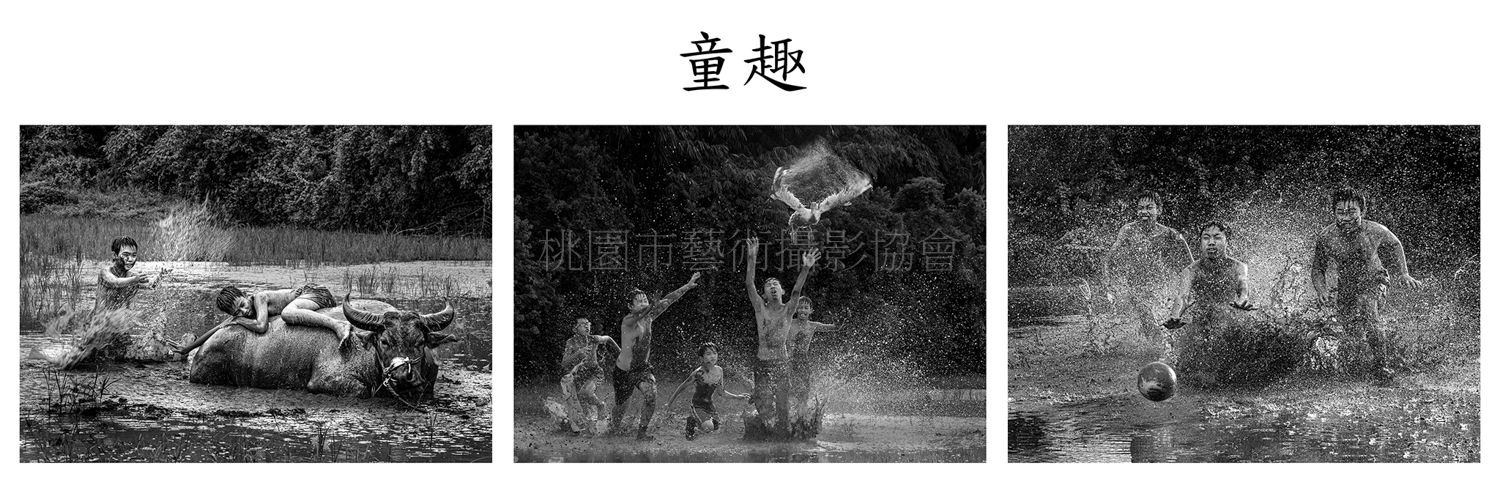 童趣(組照)