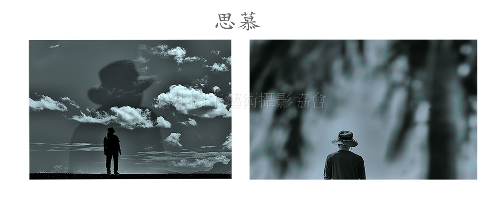 思慕(組照)