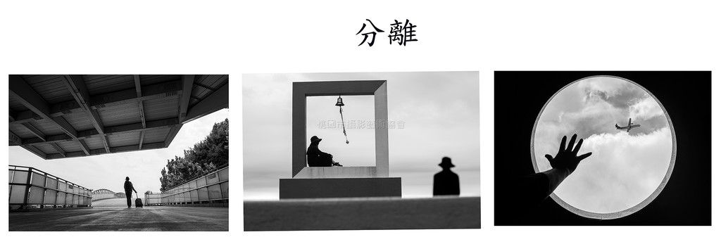 分離(組照)