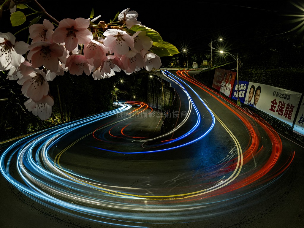 夜櫻光軌之美