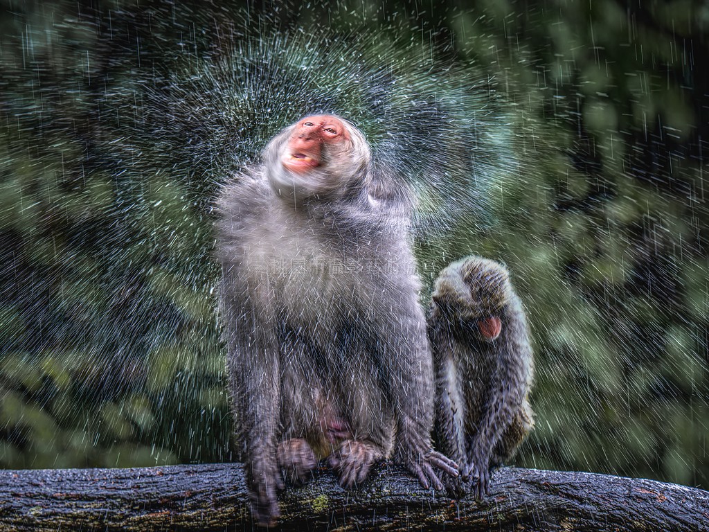 雨好大