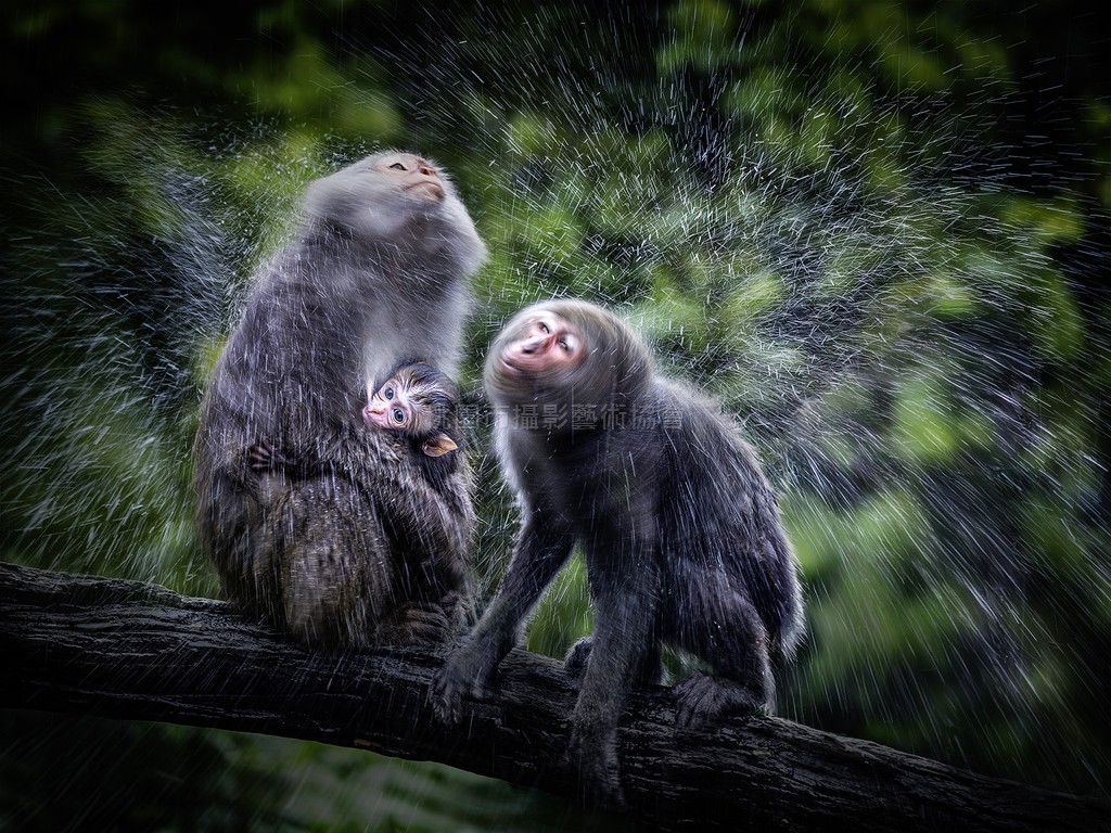 沐愛