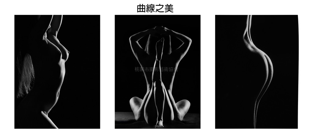 曲線之美(組照)