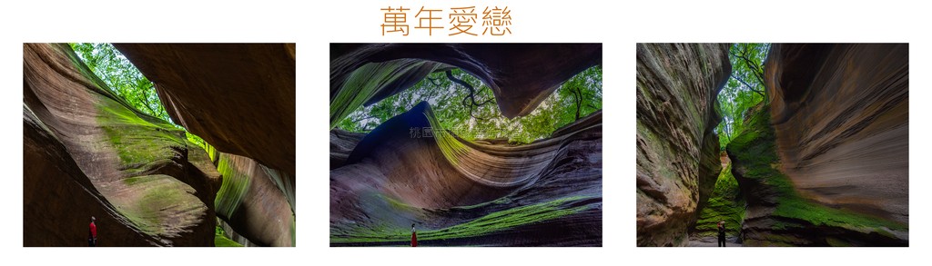 萬年愛戀