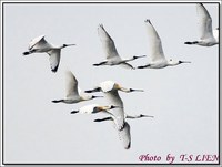 040