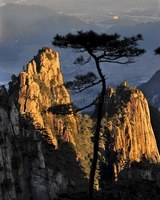 莊訓橋