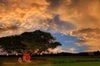 土地公雲彩