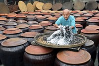 豆粕伯