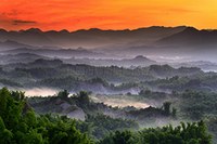 生命晨曦