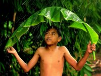 下雨