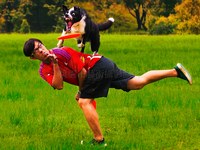 合作無間