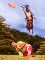 默契十足