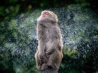 甩下包袱