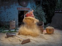 農忙篩稻穀