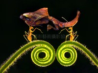 通力合作