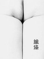 作品14