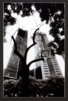 作品18