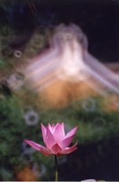 黃勝造