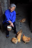 餵米樂