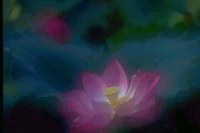 舞衣飄香