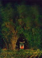 夜