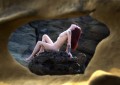 Thumbs/tn_m10402_11.jpg