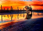 Thumbs/tn_s10601_06.jpg
