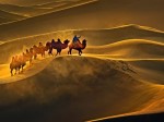 Thumbs/tn_s10602_02.jpg
