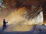 Thumbs/tn_s10604_03.jpg