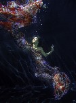 Thumbs/tn_S10610_07.jpg
