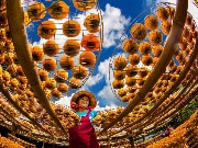 Thumbs/tn_s10410_05.jpg