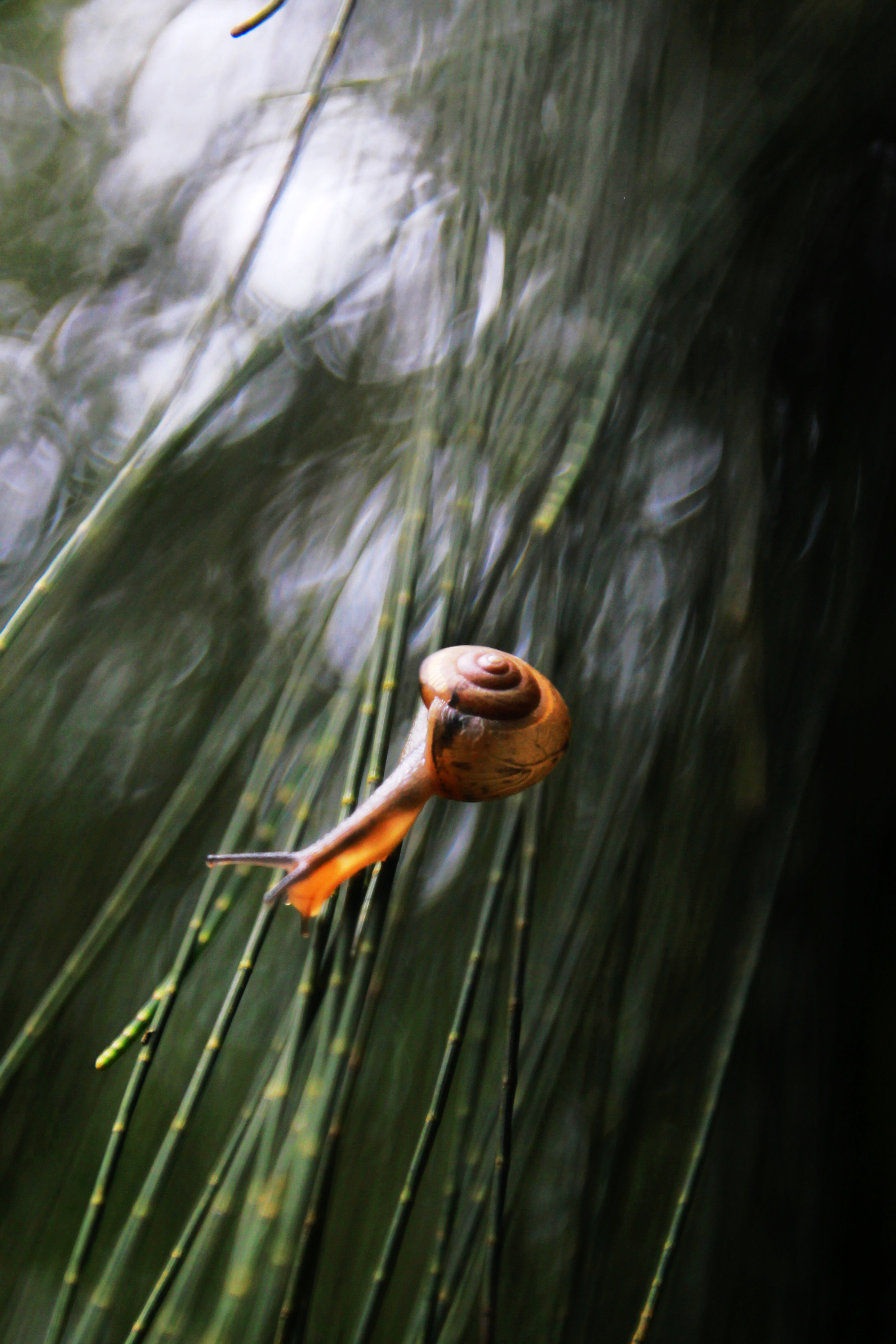 ../Images/s00012.jpg