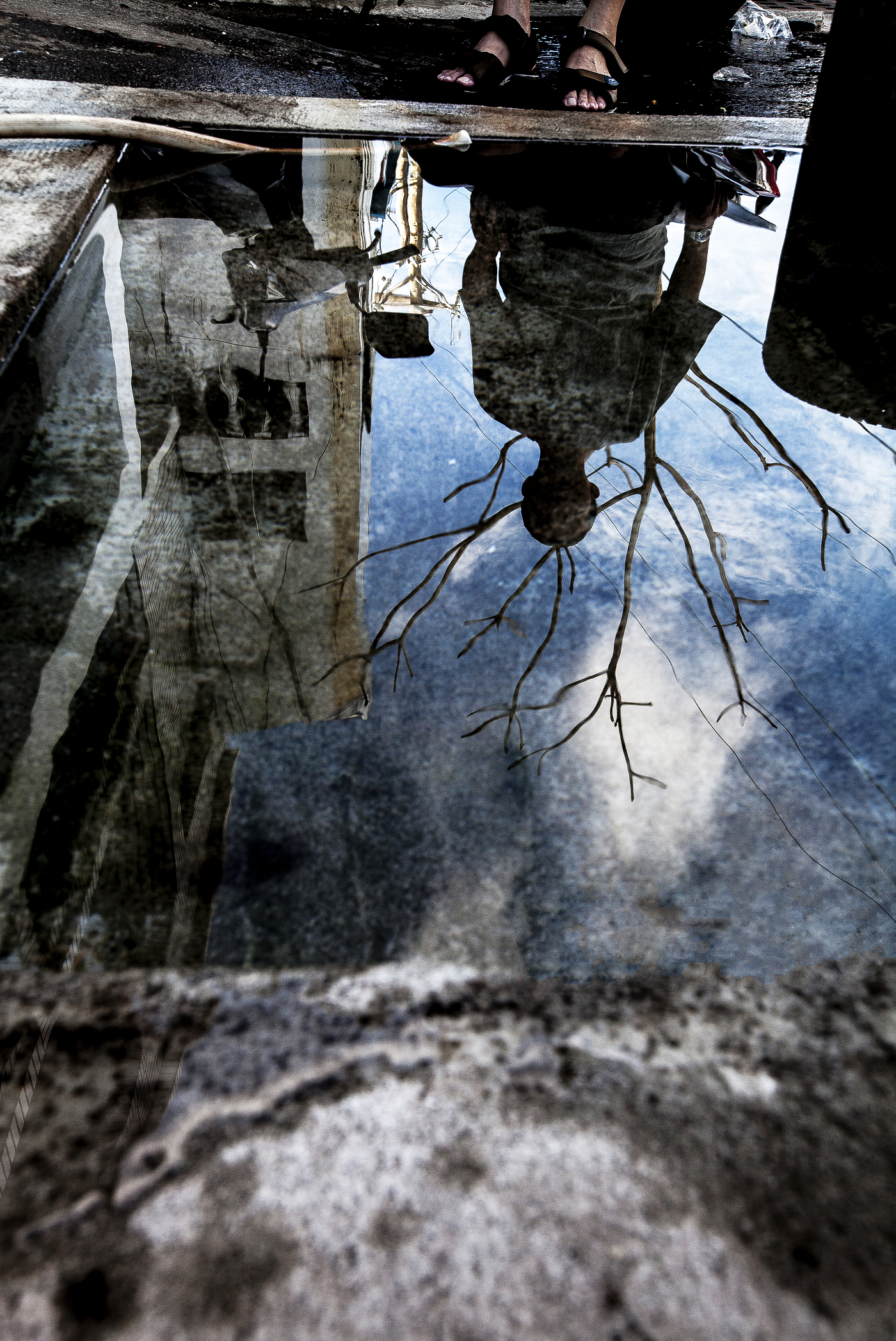 ../Images/S00040.jpg