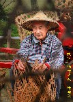 Thumbs/tn_m000279.jpg