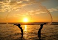 Thumbs/tn_000129.jpg