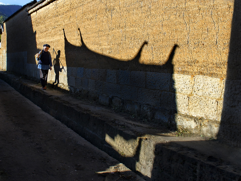 ../Images/000155.jpg