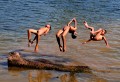 Thumbs/tn_000164.jpg